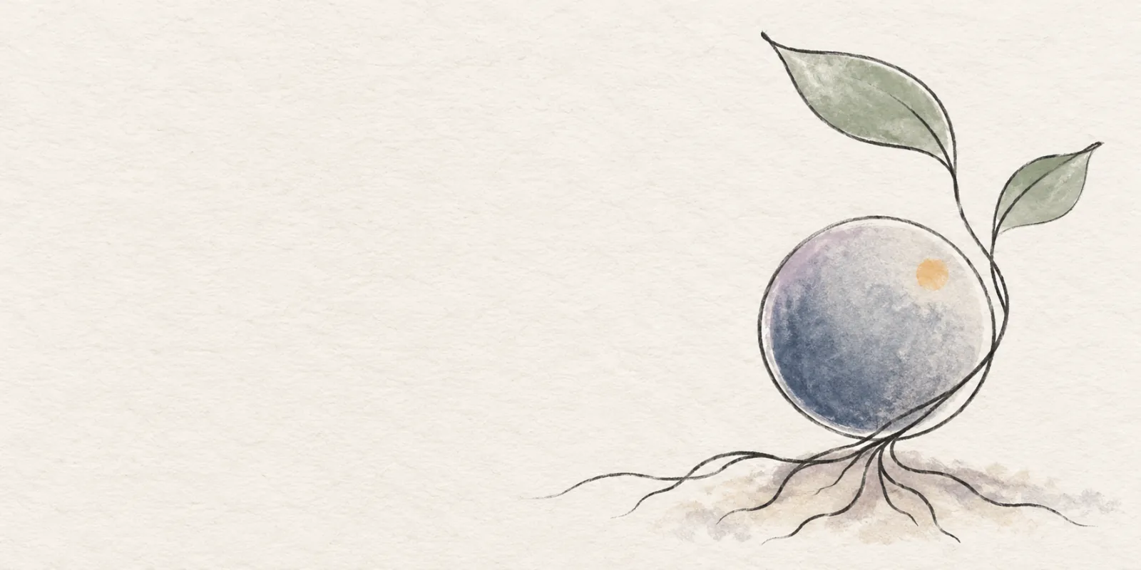 A round coin-like form with roots and leaves in a minimalist ink and watercolor illustration.